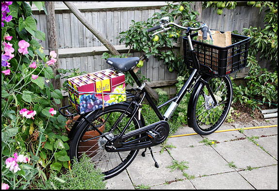 Picture of Workcycles FR8 bicycle
