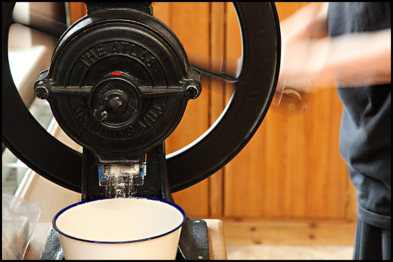 spelt grain being ground in hand mill
